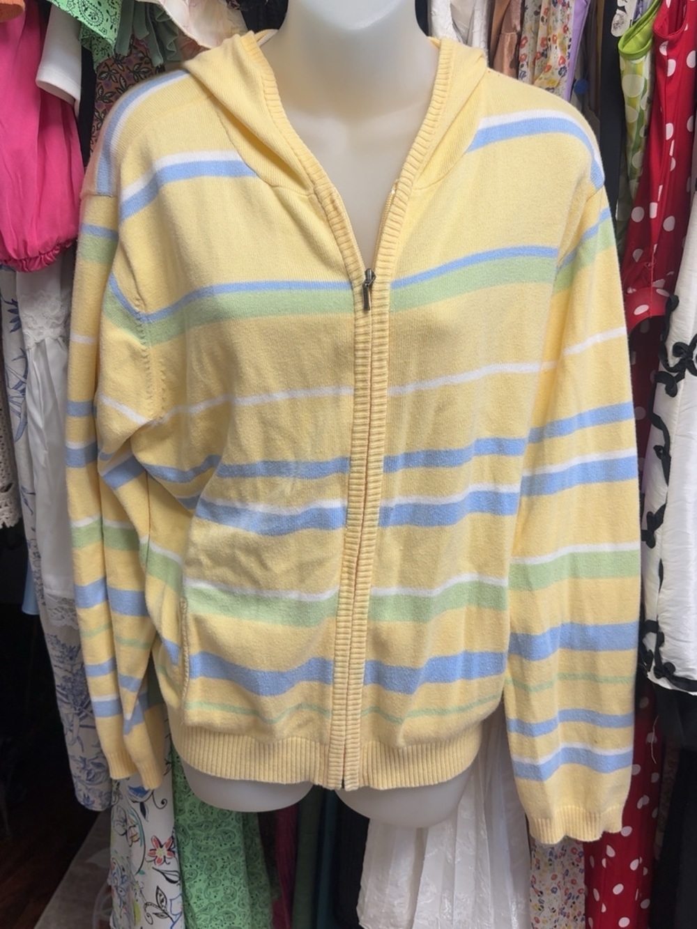 Vintage Y2K Sonoma Jean Company Striped Zip-Up Hoodie/Cardigan